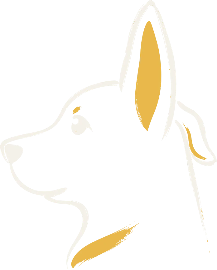 谛听——竖起耳朵倾听的犬